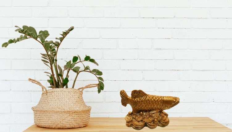 Attract Wealth With the Arowana Fish Statue